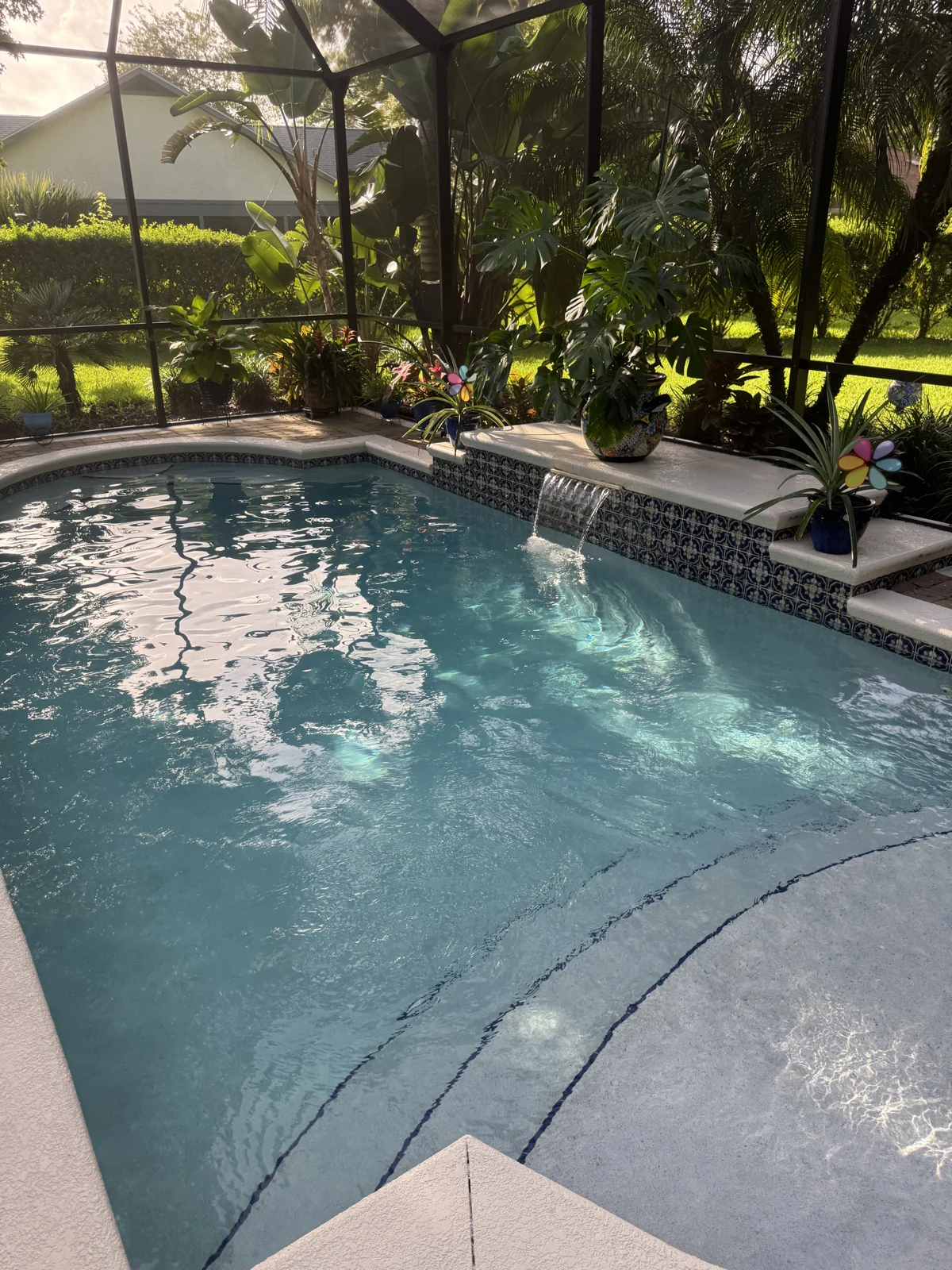 A screened pool with a spillway and tropical plants