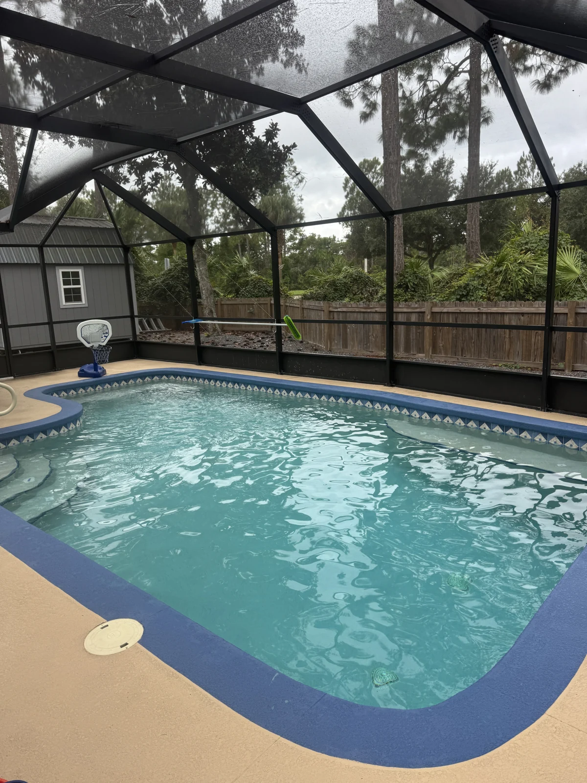 A screened rectangular pool with a basketball hoop