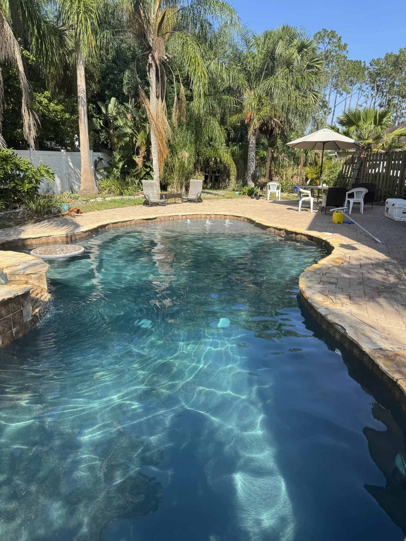 A freeform tropical backyard pool