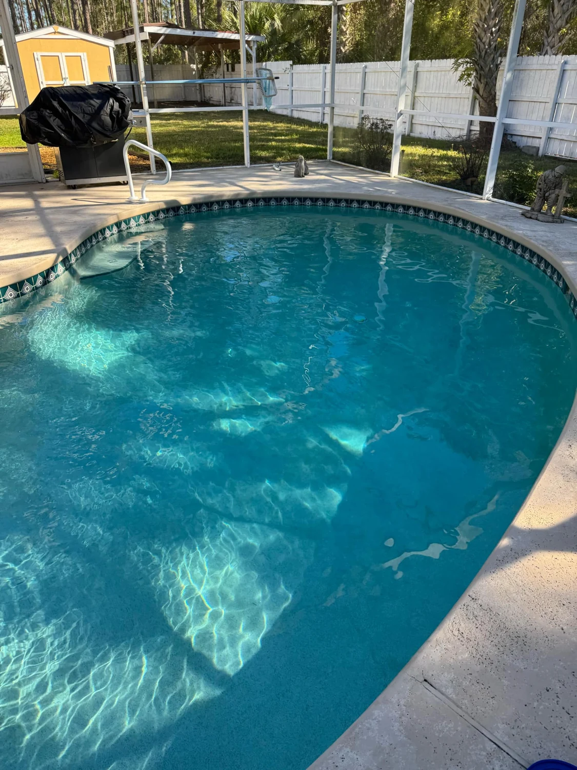 Sunlight on a curved residential swimming pool