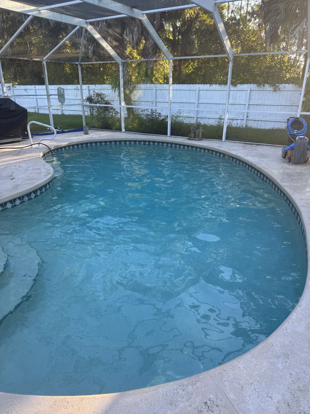 A curved pool inside a screen enclosure